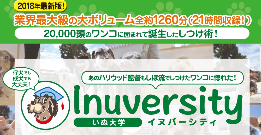 イヌパーシティー